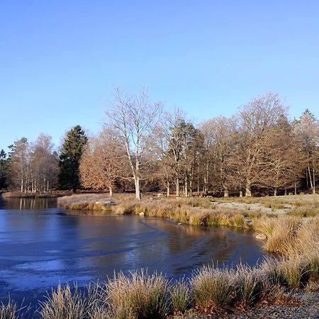 Damwildfarm In Rollerbue Suedschweden Villa Tyringe Luaran gambar