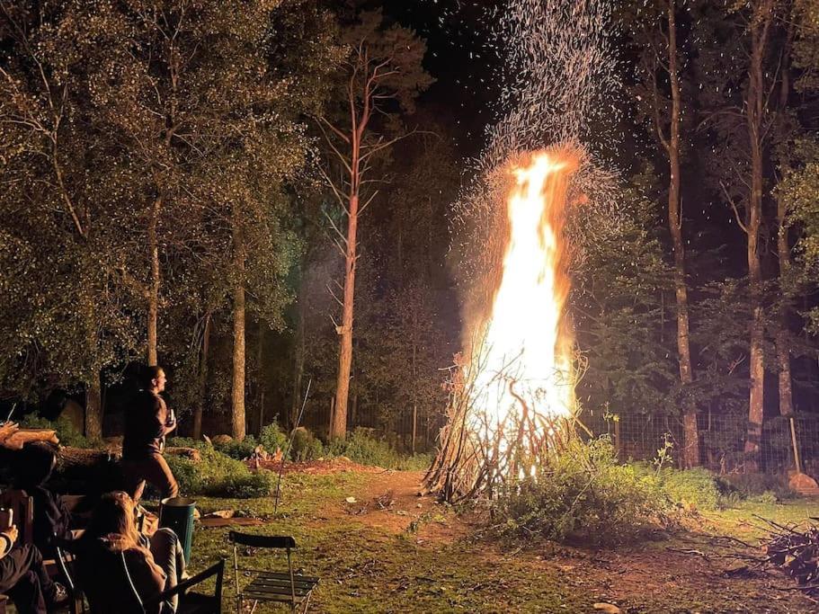 Damwildfarm In Rollerbue Suedschweden Villa Tyringe Luaran gambar