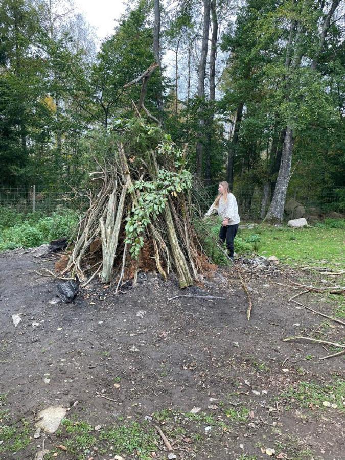 Damwildfarm In Rollerbue Suedschweden Villa Tyringe Luaran gambar