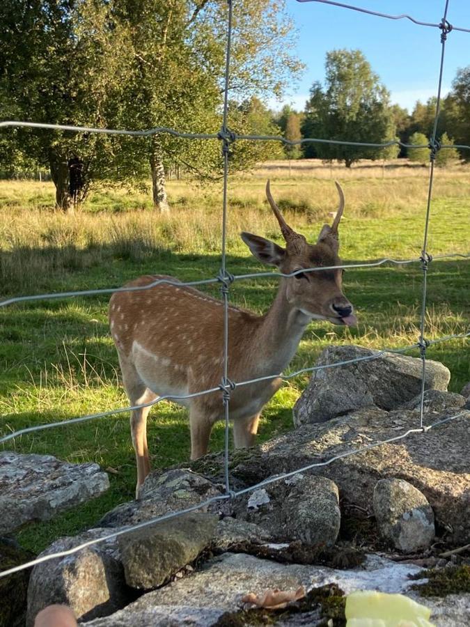 Damwildfarm In Rollerbue Suedschweden Villa Tyringe Luaran gambar